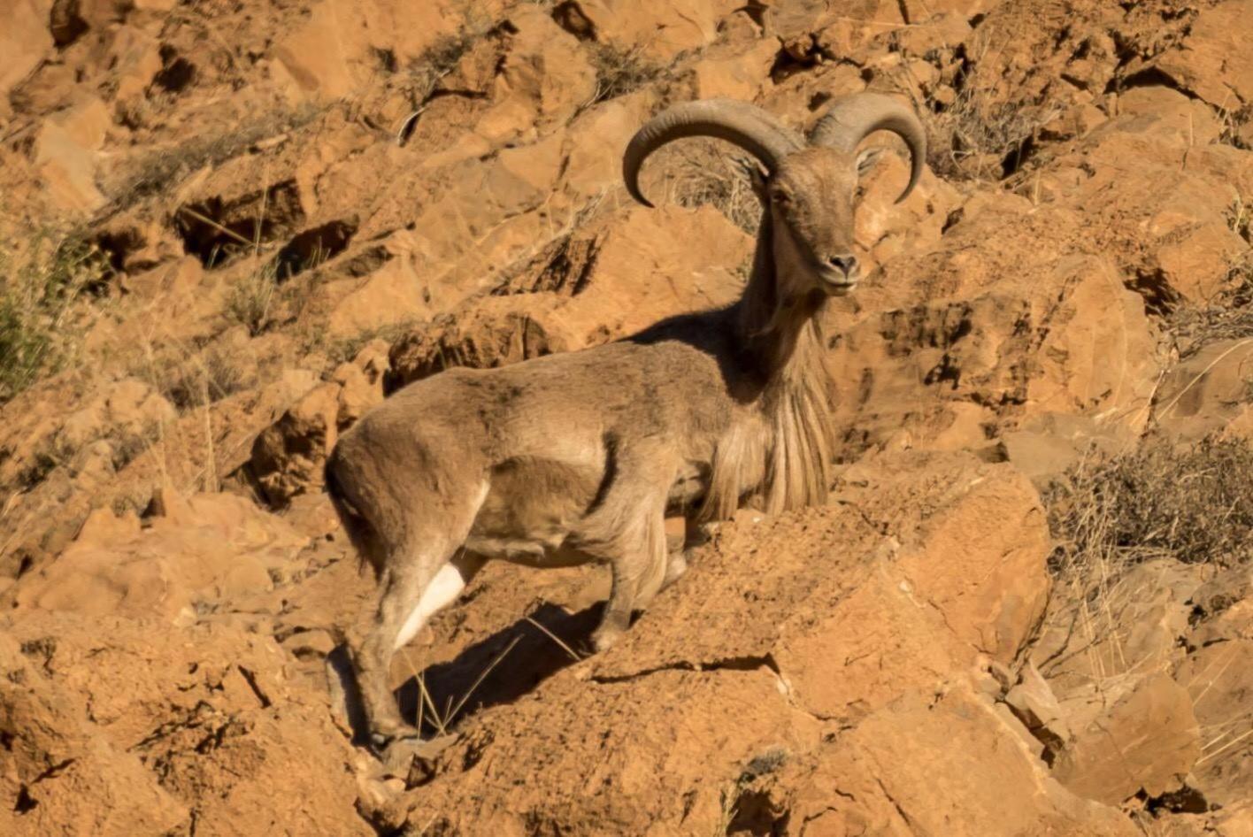 Auberge La Fibule Du Dades Aït Idaïr Kültér fotó